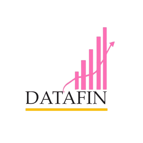 Datafin logo